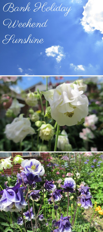 2013may28 bank holiday sunchine garden flowers `