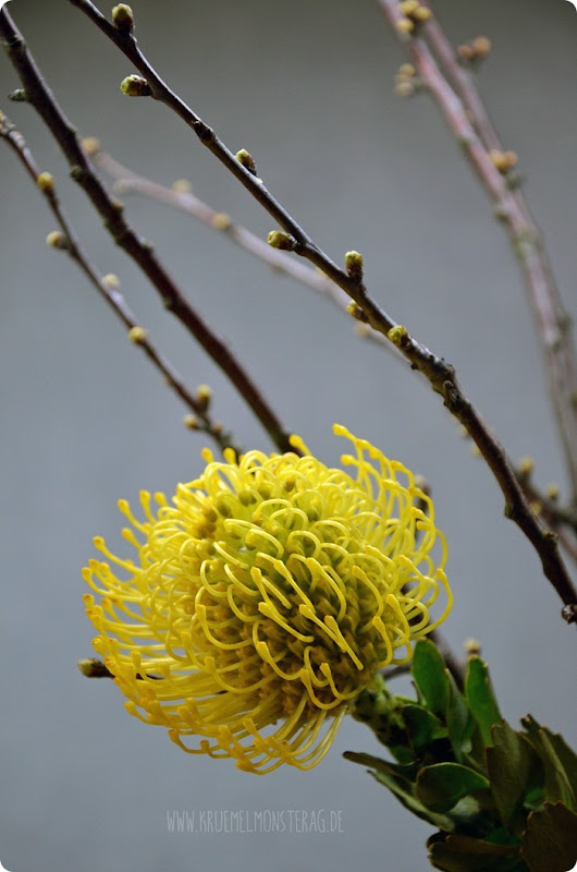 FF (04) gelbe Protea, gefüllte Tulpen, Kirschzweige und rosa Gänseblümchen