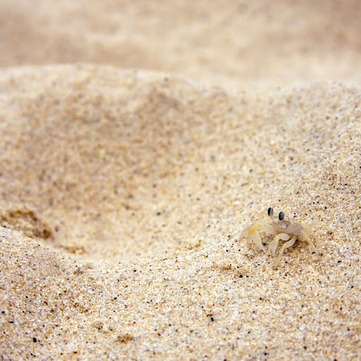 Hd-145410-ascw145410