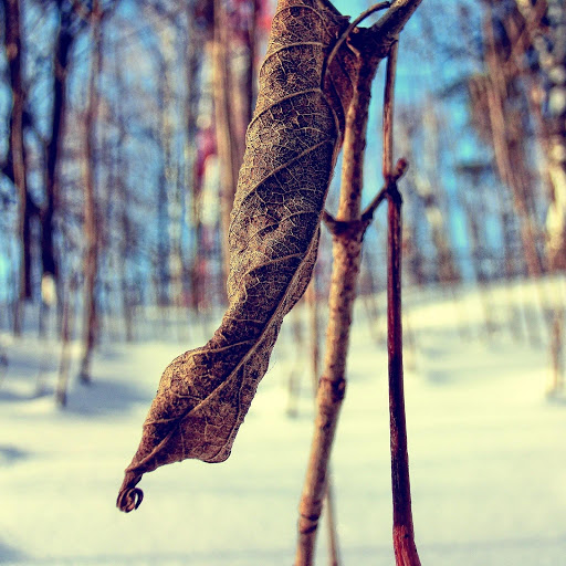 Hd-164620-ascw164620