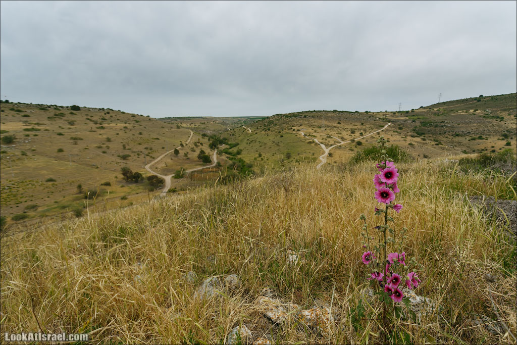 LookAtIsrael.com: Фото-блог о путешествиях по Израилю. Тель Авив, Иерусалим, Хайфа 