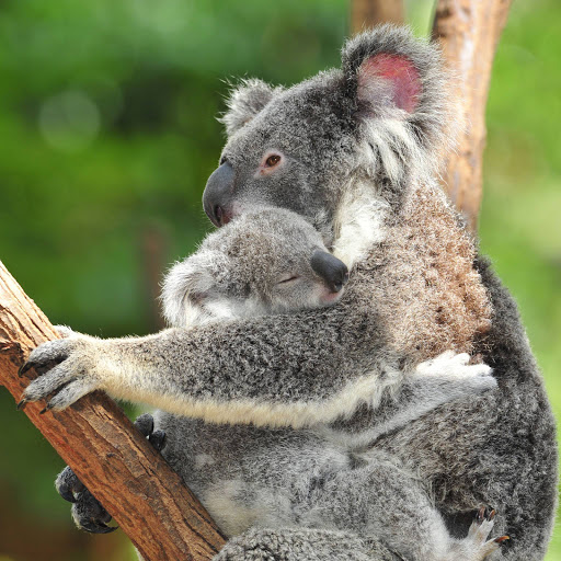 Hd-174256-ascw174256