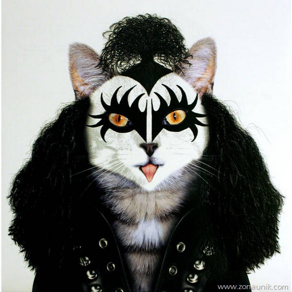 [binatang_rockstar1%255B2%255D.jpg]