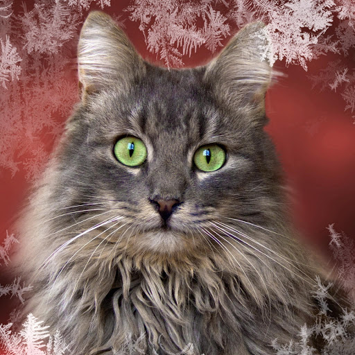 Hd-174849-ascw174849