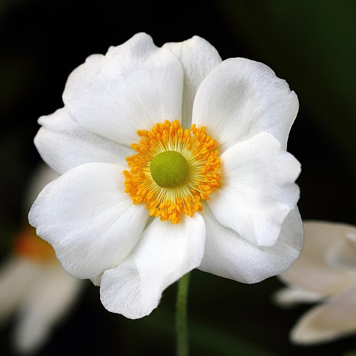 Hd-177045-ascw177045