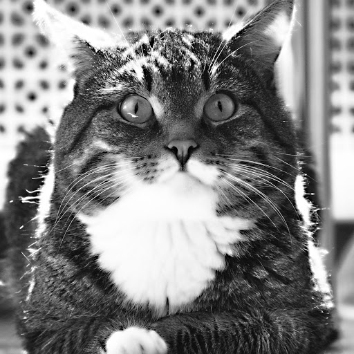 Hd-155457-ascw155457