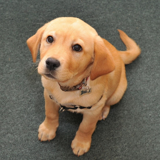 Hd-175815-ascw175815