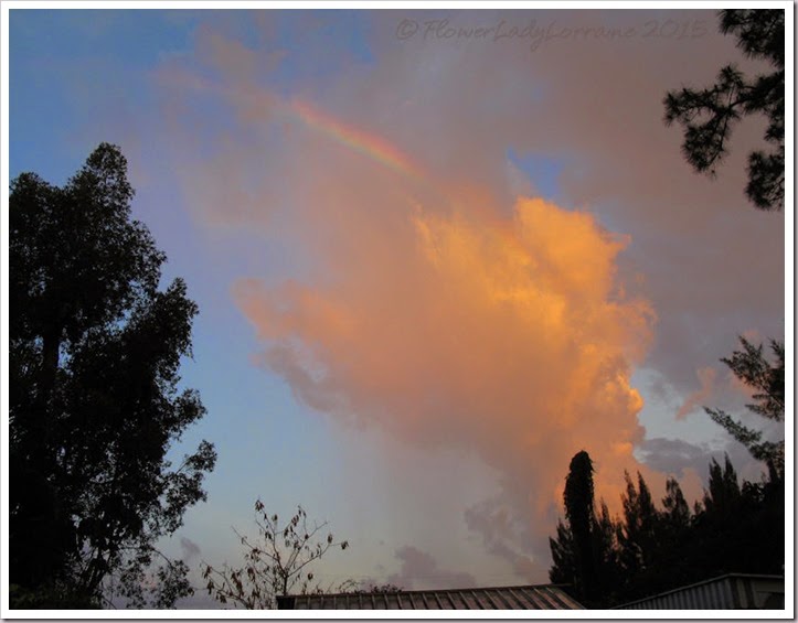 04-12-morning-rainbow2