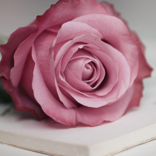 Hd-177194-ascw177194