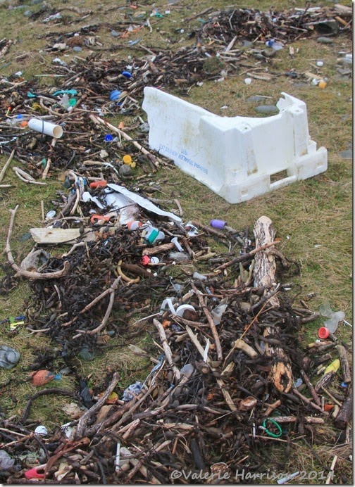 9-beach-debris