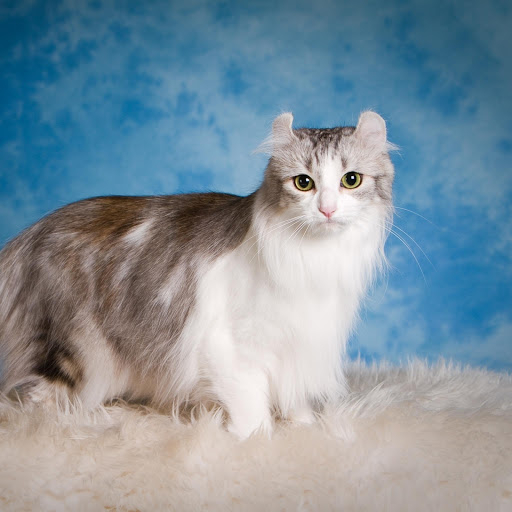 Hd-174805-ascw174805