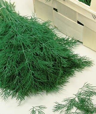 [Dill%2520Hera%255B3%255D.jpg]