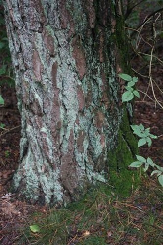 20100822 (8) (Small)