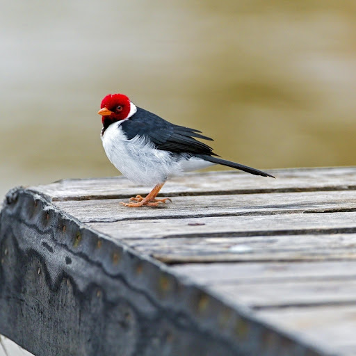 Hd-178583-ascw178583