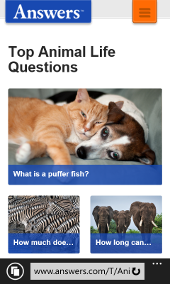 Screenshot of www.answers.com with Windows Phone 8.1 Update