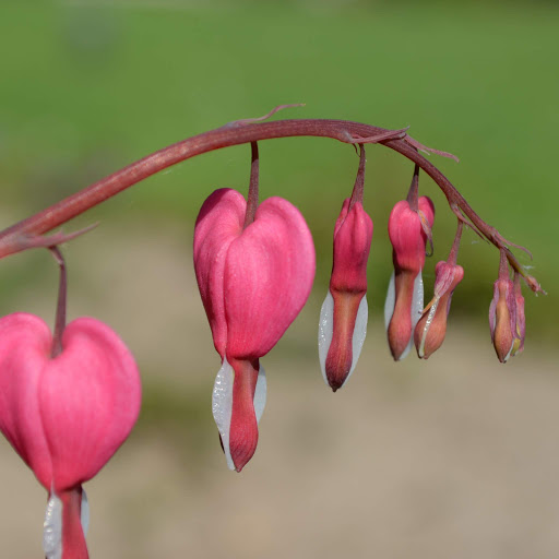 Hd-152596-ascw152596