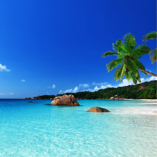 Hd-185837-ascw185837