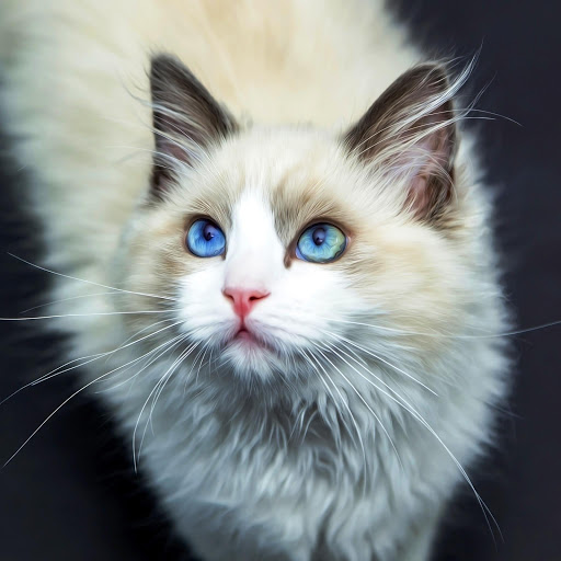 Hd-148408-ascw148408