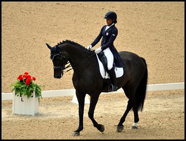 08b - Dressage Arena - beautiful horse and rider