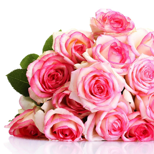 Hd-152459-ascw152459