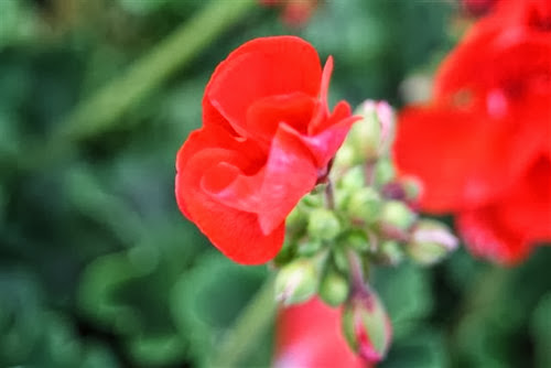 20090615 (4) (Small)