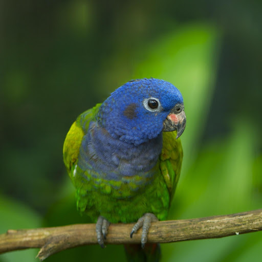 Hd-181228-ascw181228