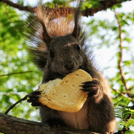 Hd-133159-ascw133159