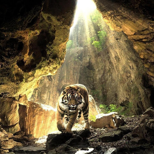 Hd-164172-ascw164172