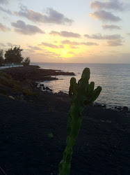 Lanzarote 2011 - - 065