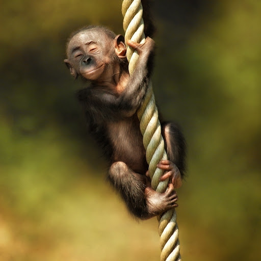 Hd-144325-ascw144325