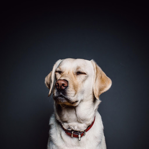 Hd-184613-ascw184613