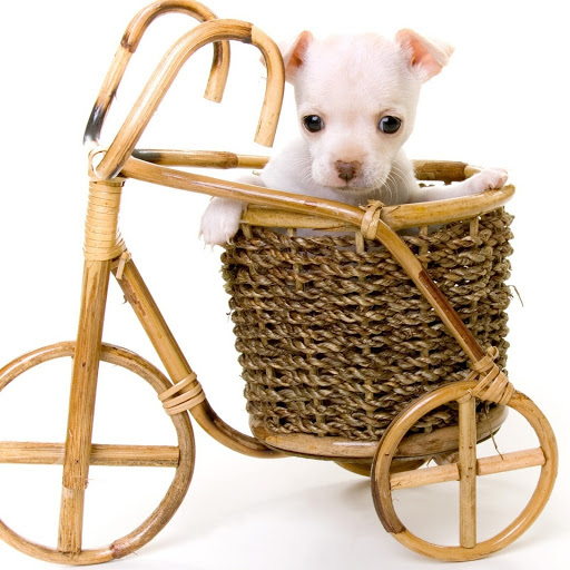 Hd-180666-ascw180666