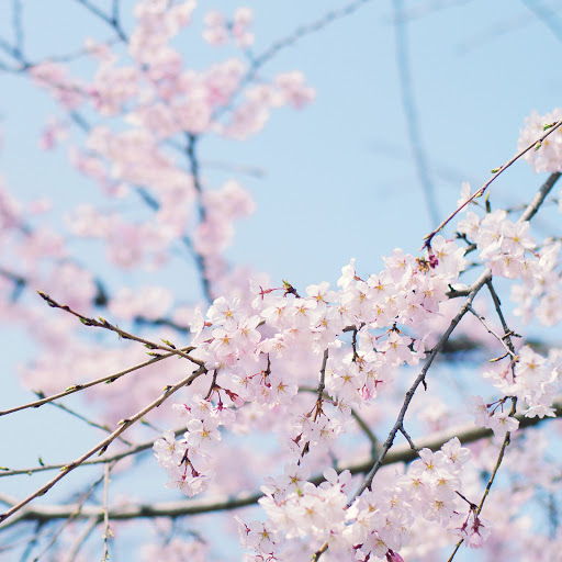 Hd-163171-ascw163171