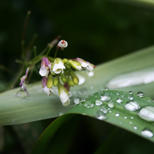 Hd-164583-ascw164583