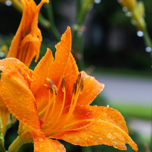 Hd-148782-ascw148782