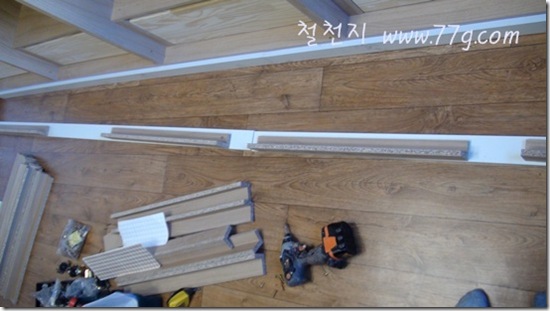 철천지DSC04768-20120324-145529