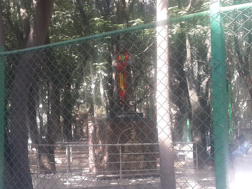 Swamy Vivakananda Statue