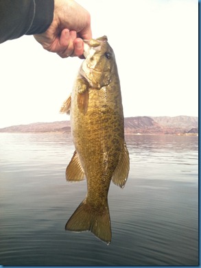 Lake Mead58-21 Feb 2012
