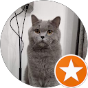 Image Google de Chehab Nina