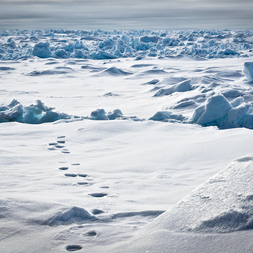 Hd-149037-ascw149037