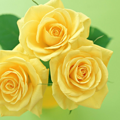 Hd-176807-ascw176807