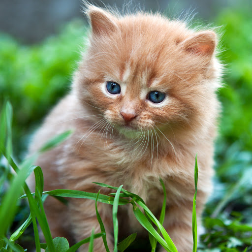 Hd-154671-ascw154671