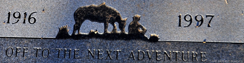 [DSC_0010%255B3%255D.jpg]