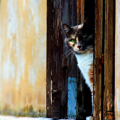 Hd-145772-ascw145772