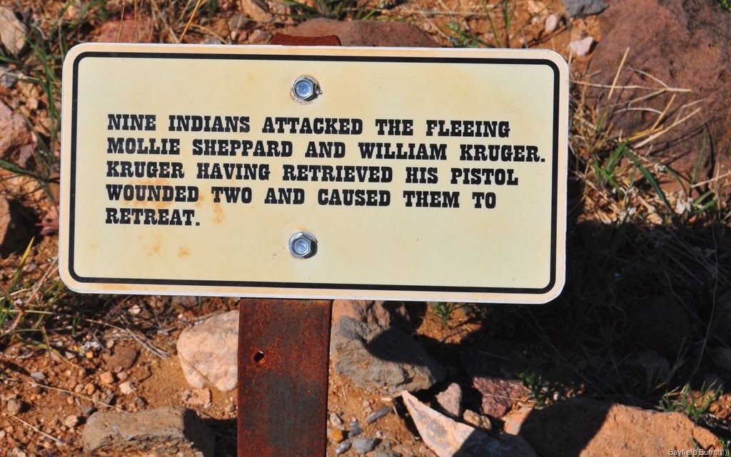 [DSC_0049%255B14%255D.jpg]