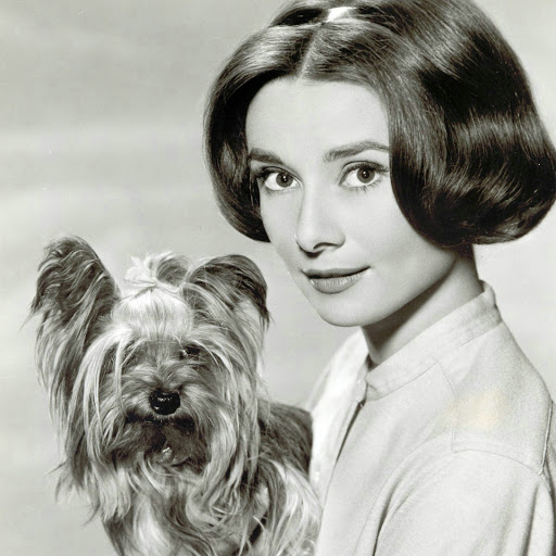 Hd-136761-ascw136761