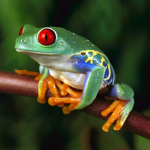 Hd-180419-ascw180419