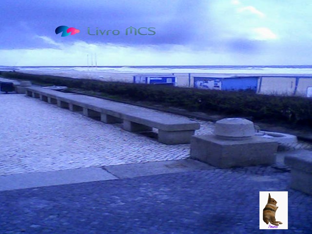 [Bolg%2520Gazeta%2520de%2520Espinho010%2520Livro%2520MCS%255B2%255D.jpg]