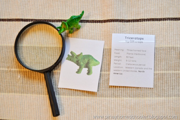 FREE Dinosaur Fact Cards