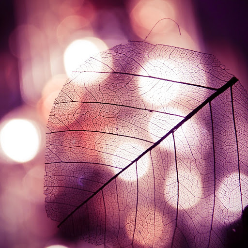 Hd-148516-ascw148516